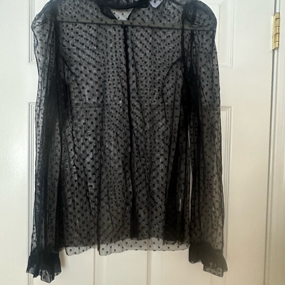 Chic Sheer Black Polka Dot Blouse